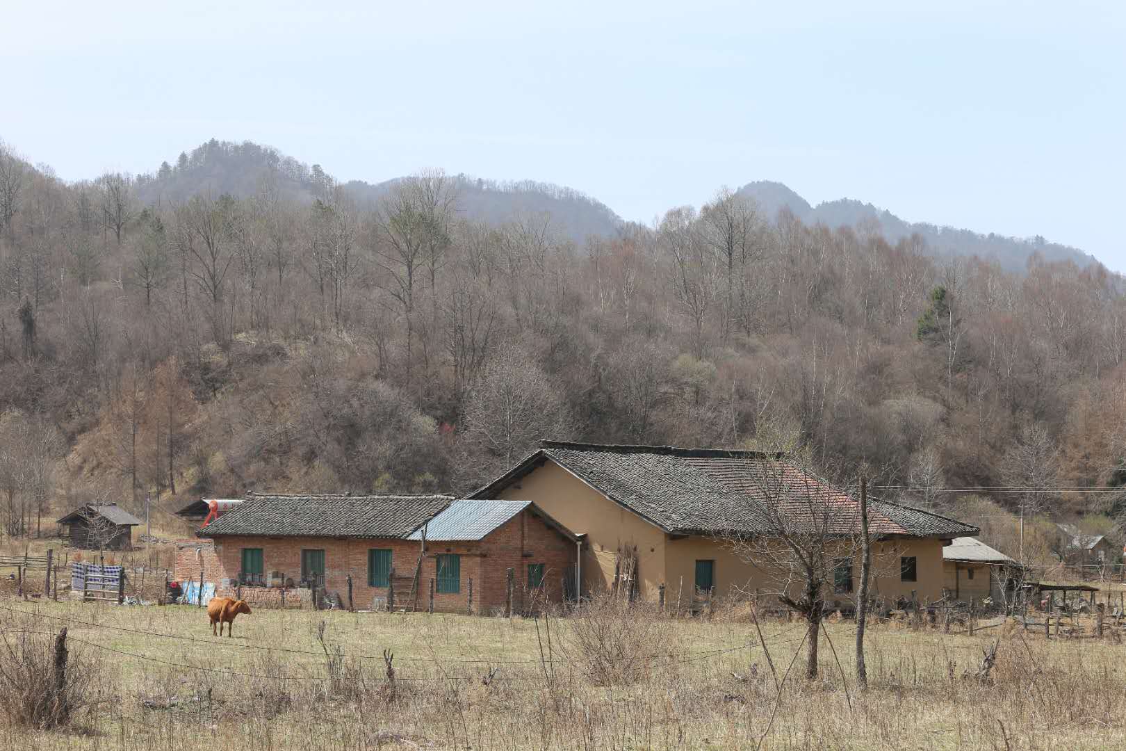 團(tuán)建，春到老縣城。(圖12)