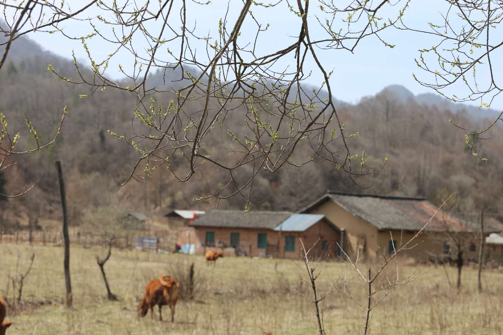 團(tuán)建，春到老縣城。(圖13)